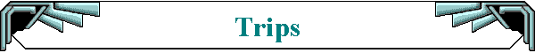 Trips